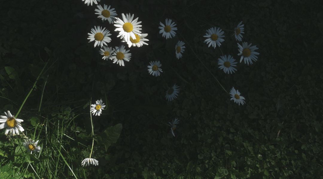 Good Scents 2023 | Our Annual Donation Event