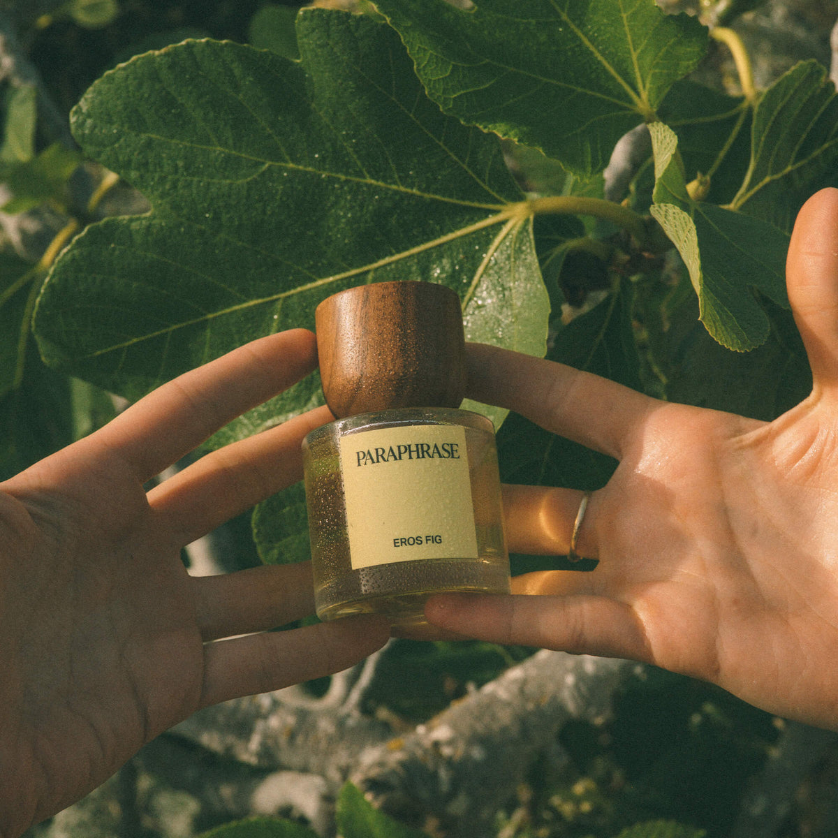 EROS FIG | SWEET SUNWARMED FRUIT