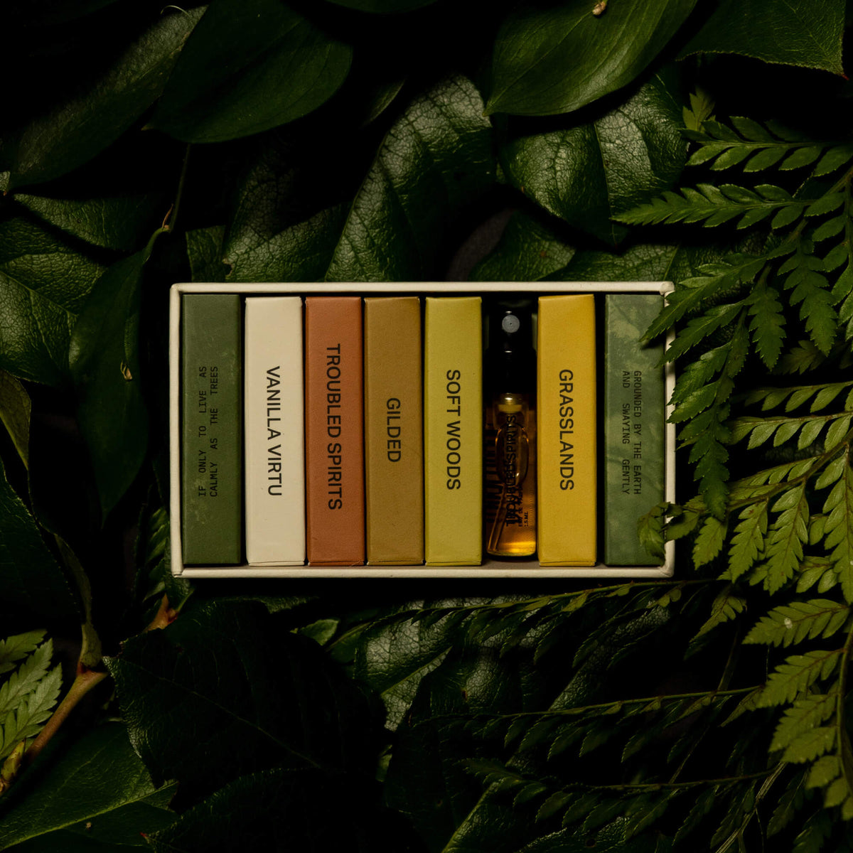 Hidden Woods Discovery Set | Woody & Earthy