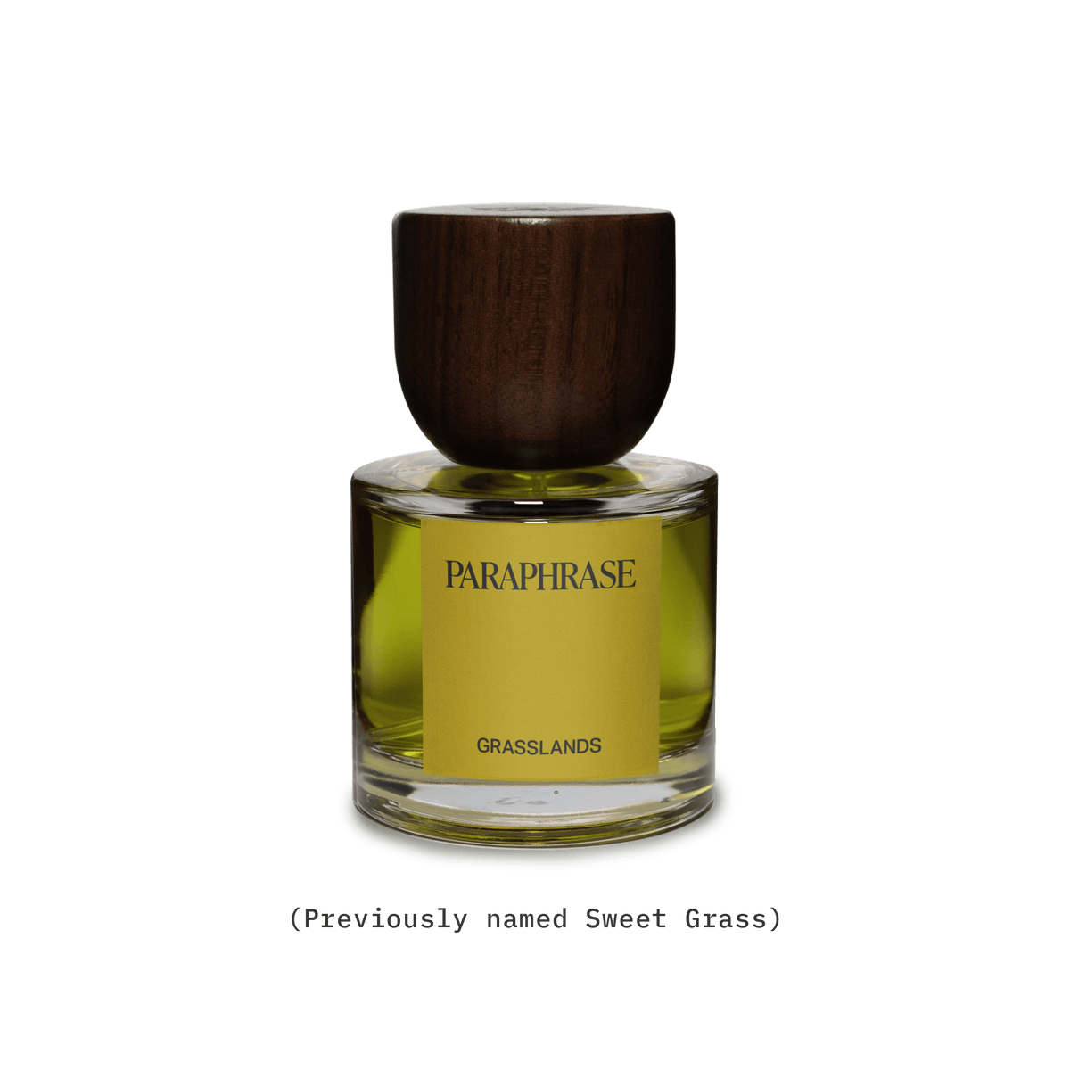 GRASSLANDS | GOLDEN GRASSY HERBS